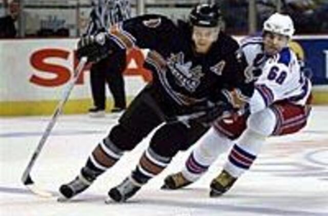 D. Zubraus sąskaitoje - per 100 įvarčių 