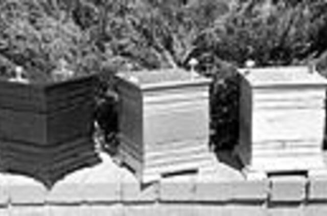 Laidojimo būdų naujoves stabdo biurokratija 