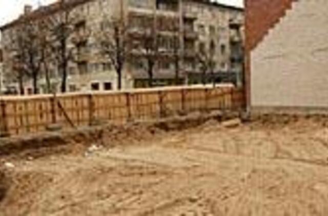 Naujoji "Lūja" nuo ankstesniosios nesiskirs 