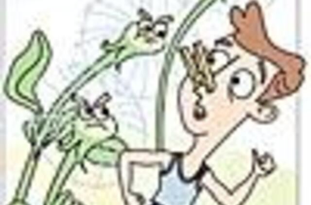 Bronchų astmos ir alerginės slogos duetas 