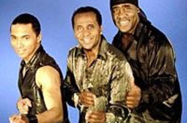 Ant Kuršmarių kranto - auksiniai disko rykliai 