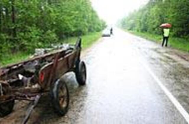 Motociklininkas neišgyveno po smūgio į vežimą