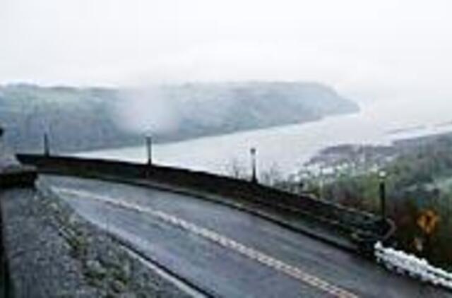 Bebrų ir lietaus karalija 