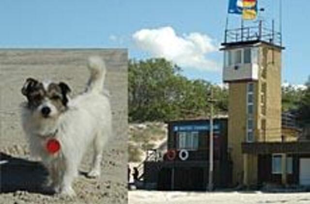 Naujokų gretas papildė keturkojis "gelbėtojas" 