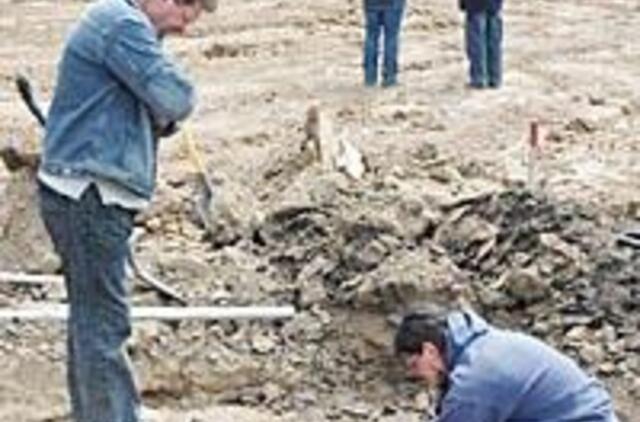 Geležies amžiaus gyvenvietė vos vėl nedingo amžiams 