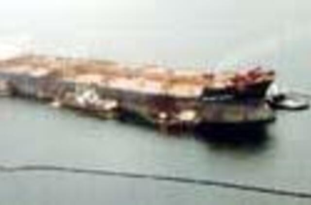 Ištikus krizei galvos į smėlį geriau nekišti 