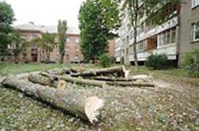 Po parašų rinkimo - skundas dėl dingusių kaštonų 