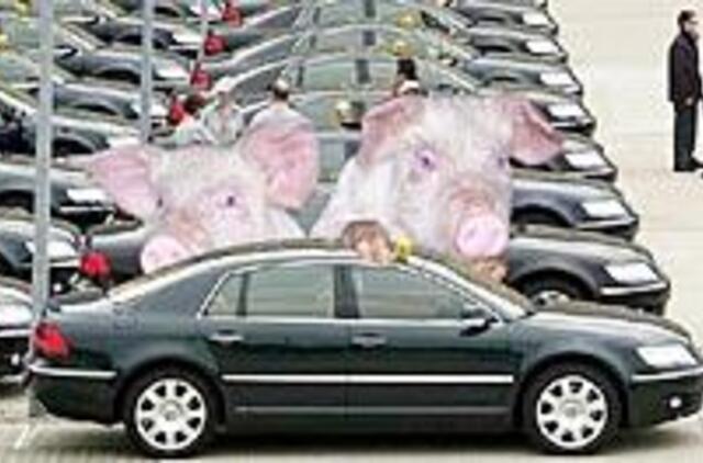 Kokiais automobiliais riedės Kiaulės metai? 