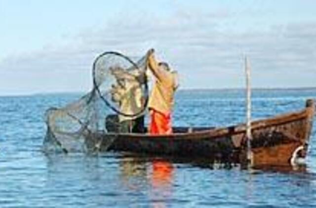 Rojų kormoranams mariose sukūrė žvejai 