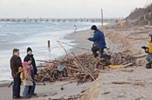 Vėjas pajūryje "rijo" milijonus