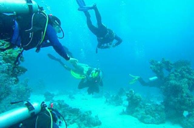 Vandenyno bedugnės šauksmas 