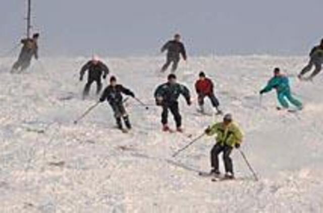 Sniegas ne visiems prikrėtė kiaulysčių 