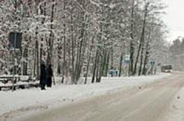 Naujas kelias pajūrin pareikalaus miško 