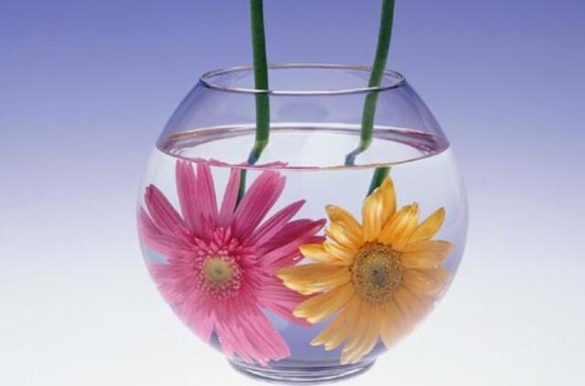 Negatyvizmas. Paprasti patarimai