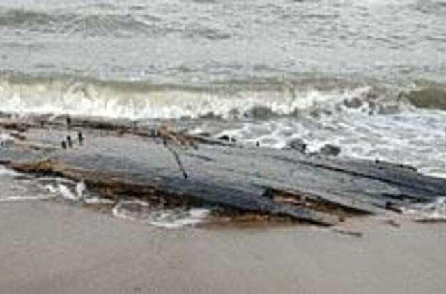 Mokslininkai suka galvas, kaip išsaugoti jūros dovaną 