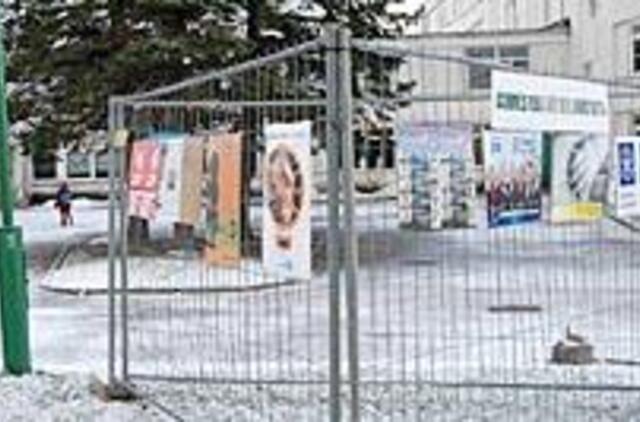 Rinkimų organizavimas - palaida bala 