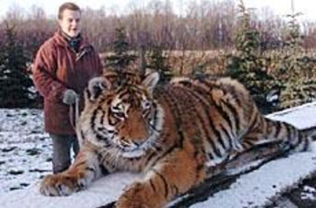 Su Banga jau sunku galynėtis 