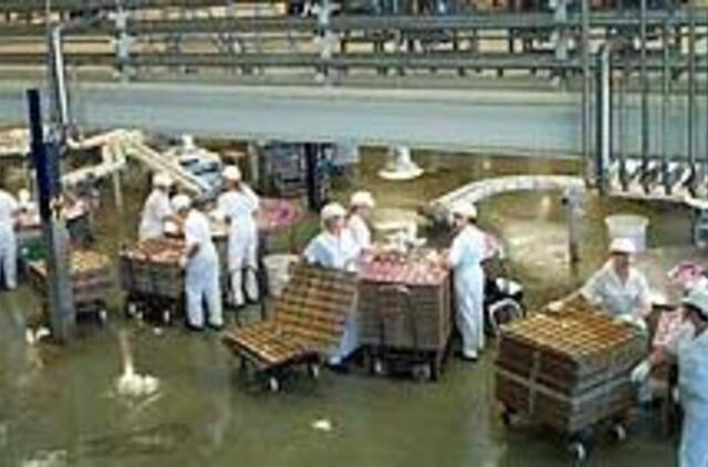 "Nuomojami" darbuotojai jaučiasi skriaudžiami 