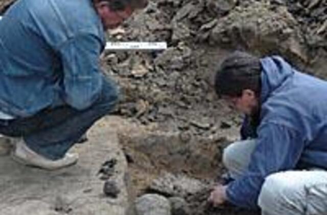 Parduotas sklypas jau teikia vilčių archeologams 