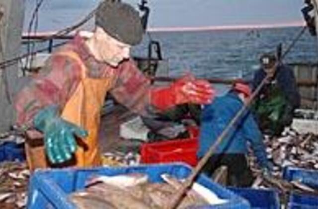 Teko skirstyti net brėtlingių kvotas 