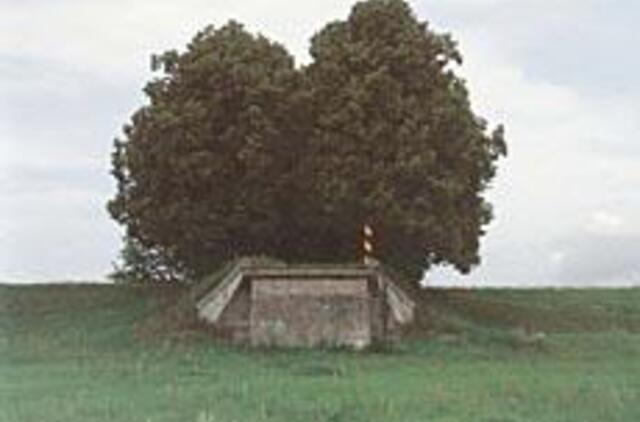 Prasidėjo karališkosios Vokiečių kultūros dienos 