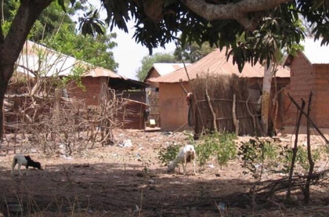 Gambija: skurdas netemdo gyvenimo džiaugsmo