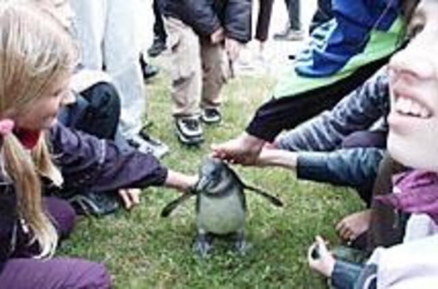 Ilgasis savaitgalis Klaipėdos muziejuose 