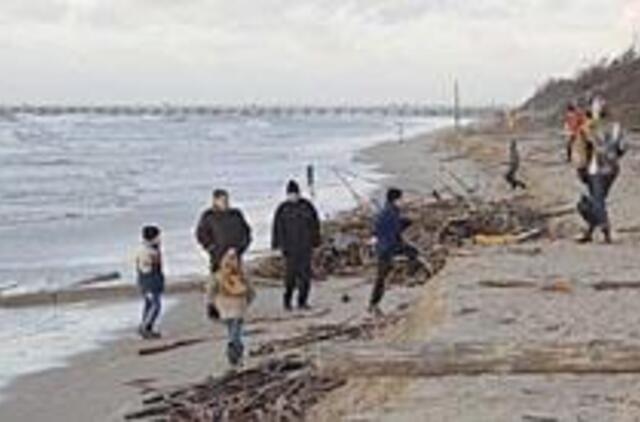 Palanga seks Melnragės pavyzdžiu 