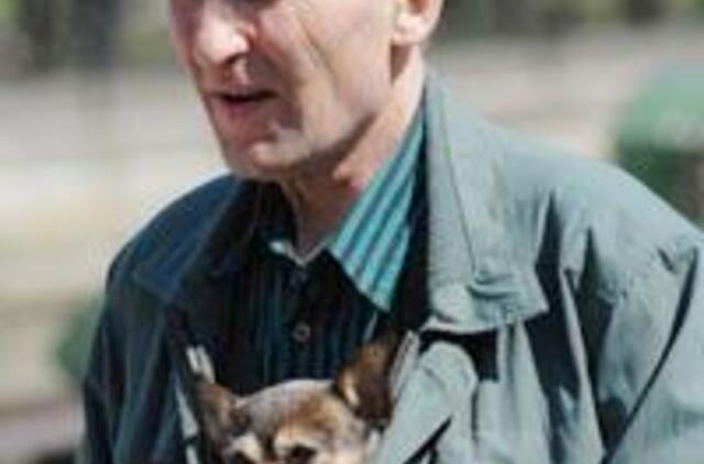 Klaipėdiečiai slepia kates ir šunis nuo mokesčių rinkėjų