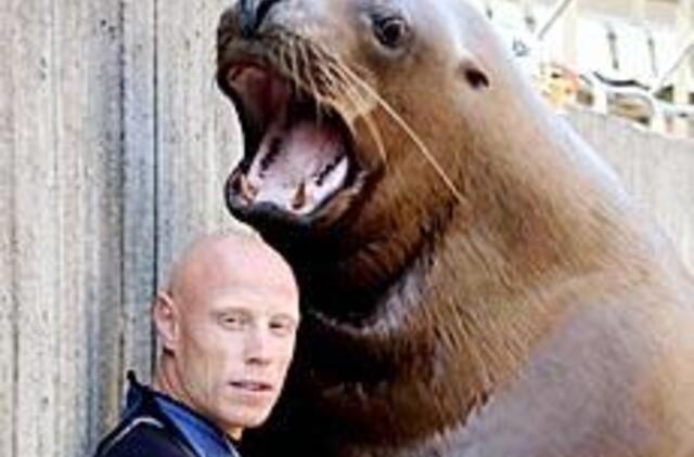 Jūrų liūtai: Markizės ir Pirato meilė 