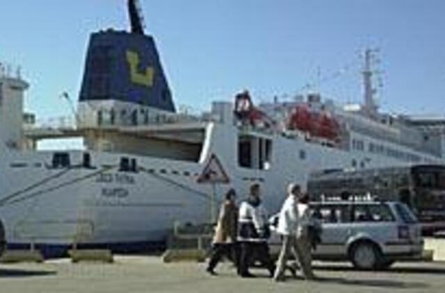 Kiaulės metais buvo ir kiaulysčių 