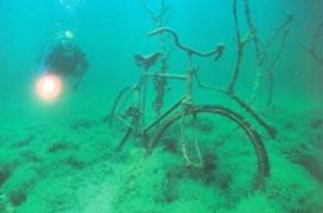 Svarbiau nuskendę miškai nei povandeniniai laivai 