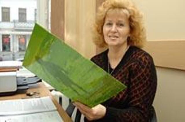 Našlaičių viltys pildysis rečiau