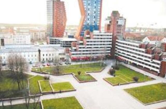 Atgimimo simbolis nesulaukia atgimimo