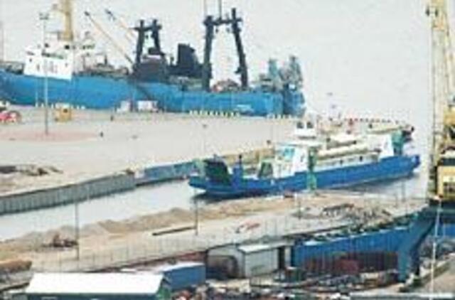 Keltai iš Danės šiemet nepasitrauks