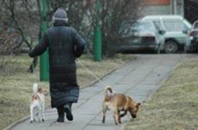 Šunys Lietuvos akliesiems negelbsti