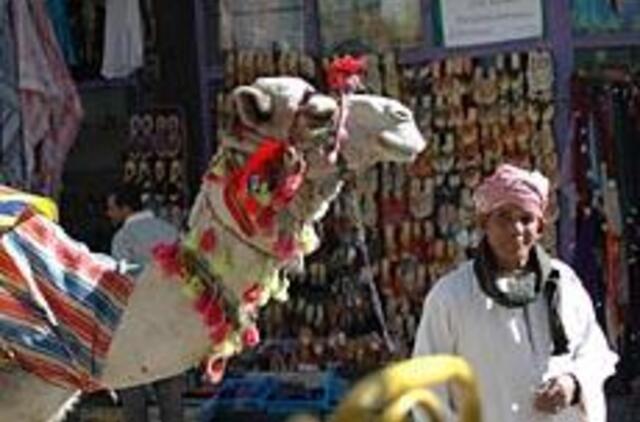 Iš Egipto - į reanimacijos palatą