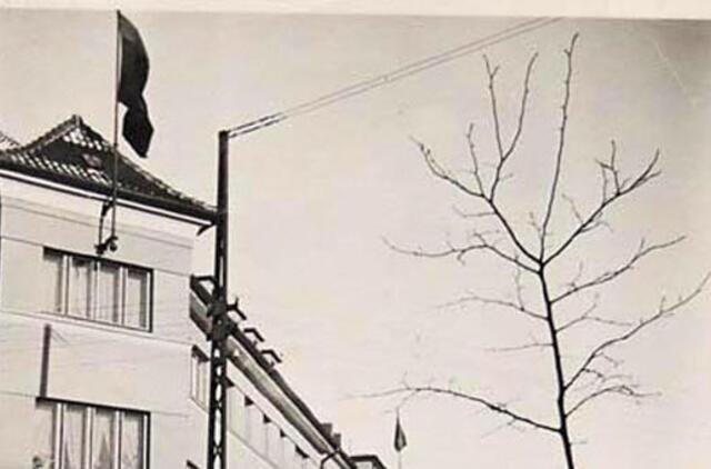 Gigantiška prieškarinė trispalvė grįžo į Klaipėdą