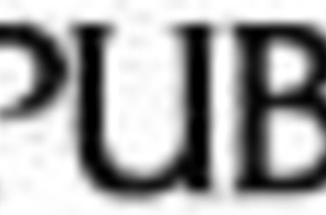 Paežerių festivalyje liejosi gitaros garsai