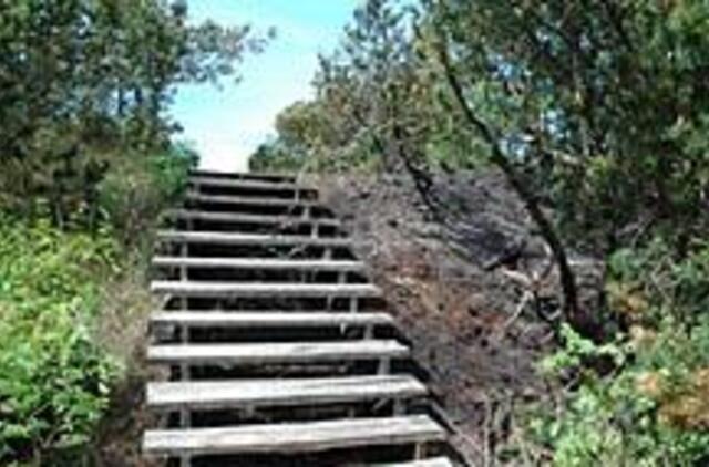 Klaipėdiečiai svetimais dūmais nekvėpavo