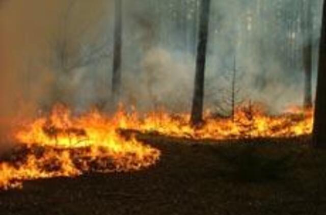 Gaisrų pavojus Graikijoje