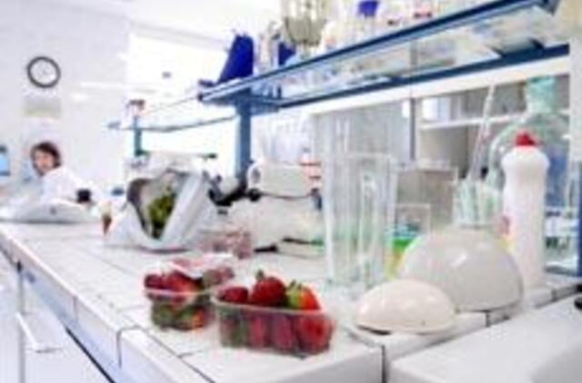 Šiemetis braškių derlius atitinka saugos reikalavimus