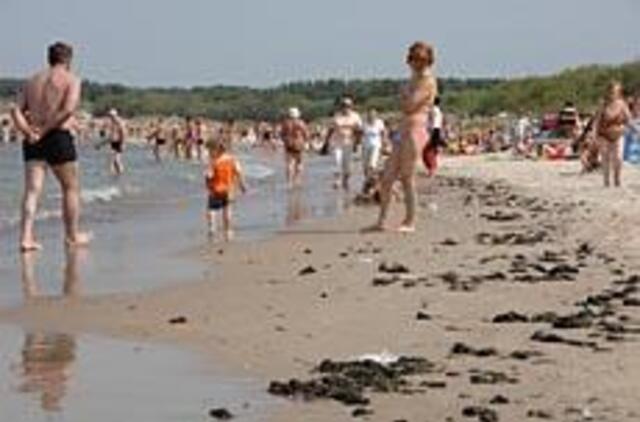 Į Palangos paplūdimius plūdo dumbliai