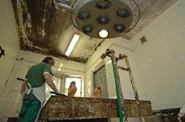 Teismo medicinos ekspertai - dar be vietos