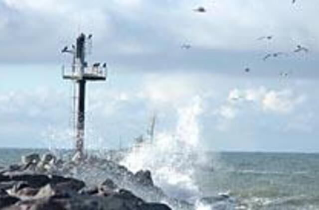 Mirštančiai Baltijai gaivinti - tarptautiniai standartai