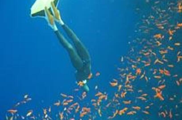 Paslaptingi gelmių garsai