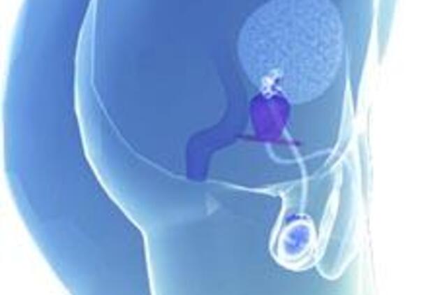 Tarptautiniame urologų kongrese – nauji prostatos vėžio gydymo būdai