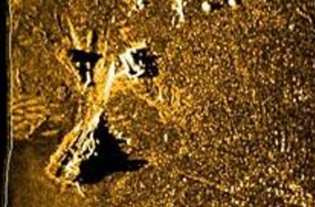 Skenduolis pasirodė esąs motorinis