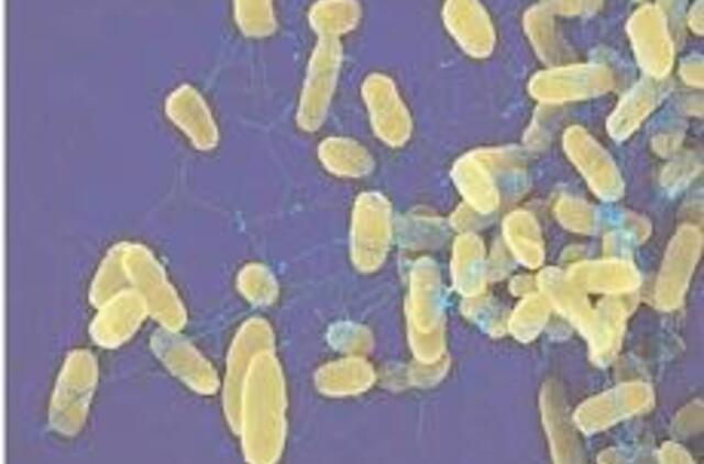 Inspektoriai tiria darželinukų apsinuodijimo maistu priežastis