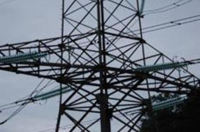 K. Čilinskas prašo šalies vadovo vetuoti Energetikos įstatymo pataisas